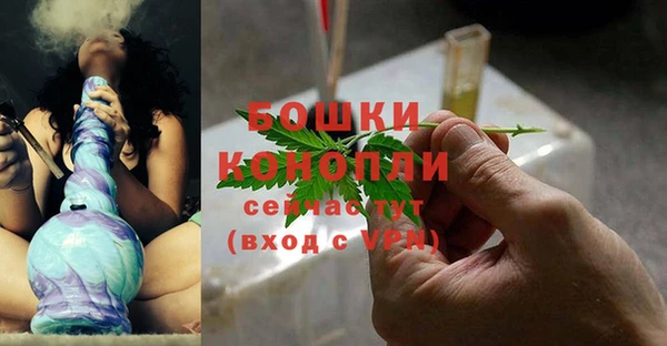 стаф Дмитровск