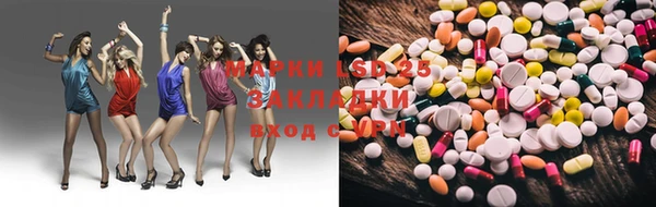 прущие грибы Дмитриев