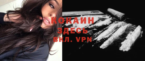 прущие грибы Дмитриев