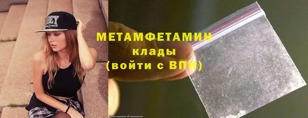 прущие грибы Дмитриев