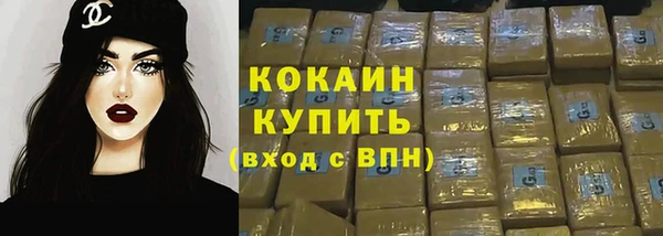 прущие грибы Дмитриев