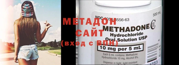 прущие грибы Дмитриев