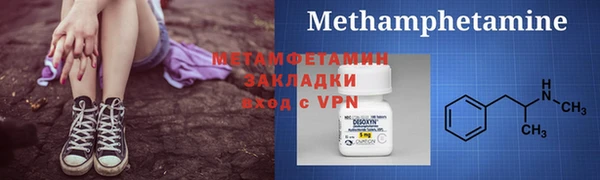 прущие грибы Дмитриев