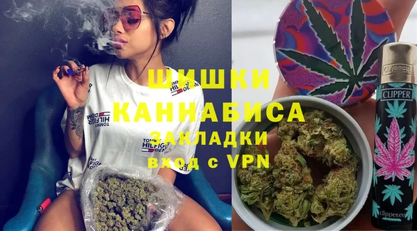 прущие грибы Дмитриев