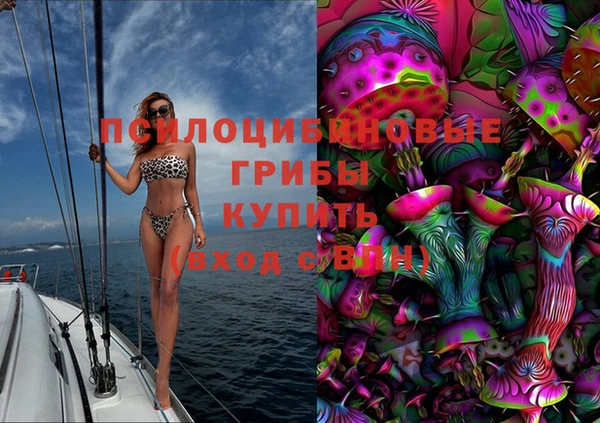 стаф Дмитровск