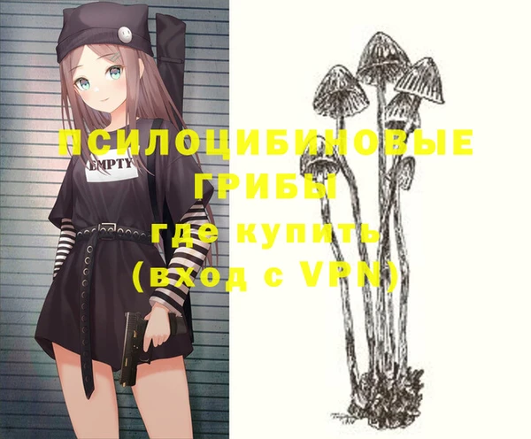 прущие грибы Дмитриев