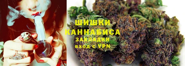 стаф Дмитровск
