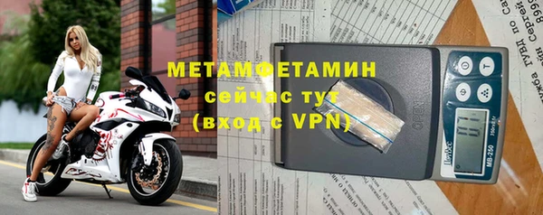 прущие грибы Дмитриев