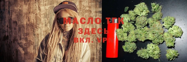 стаф Дмитровск
