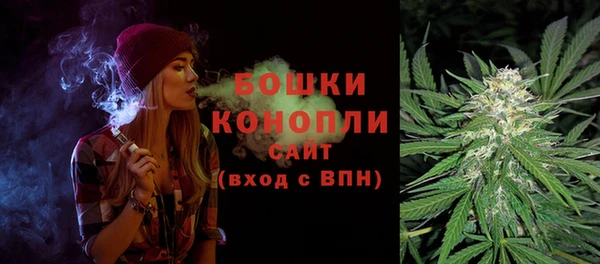 стаф Дмитровск