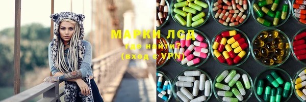 стаф Дмитровск