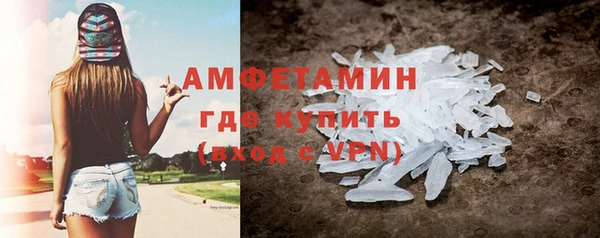 прущие грибы Дмитриев