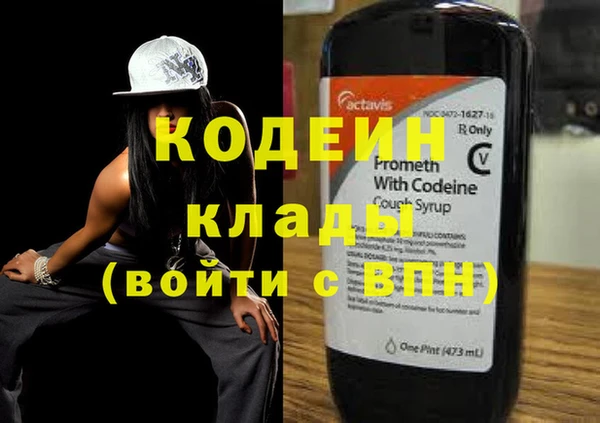 прущие грибы Дмитриев