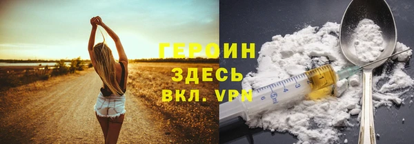 прущие грибы Дмитриев