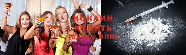 стаф Дмитровск