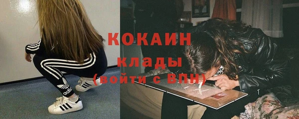 стаф Дмитровск