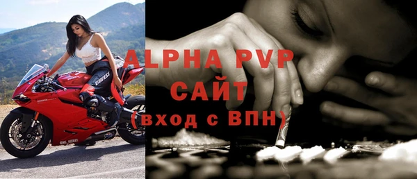 стаф Дмитровск
