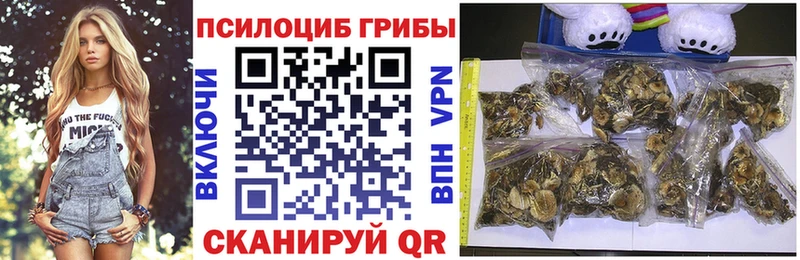 Псилоцибиновые грибы Psilocybe Пучеж
